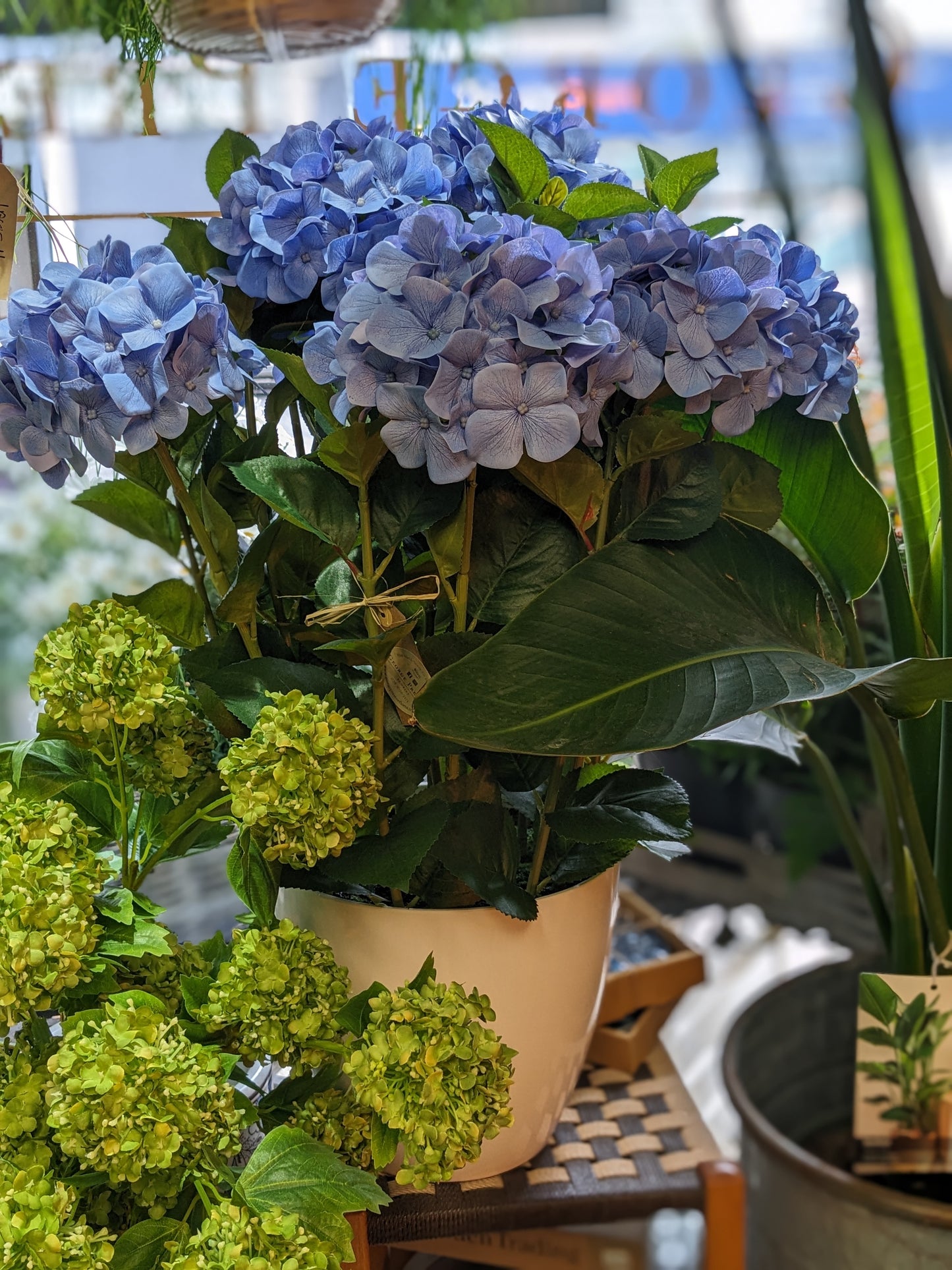 Faux Hydrangea Plant