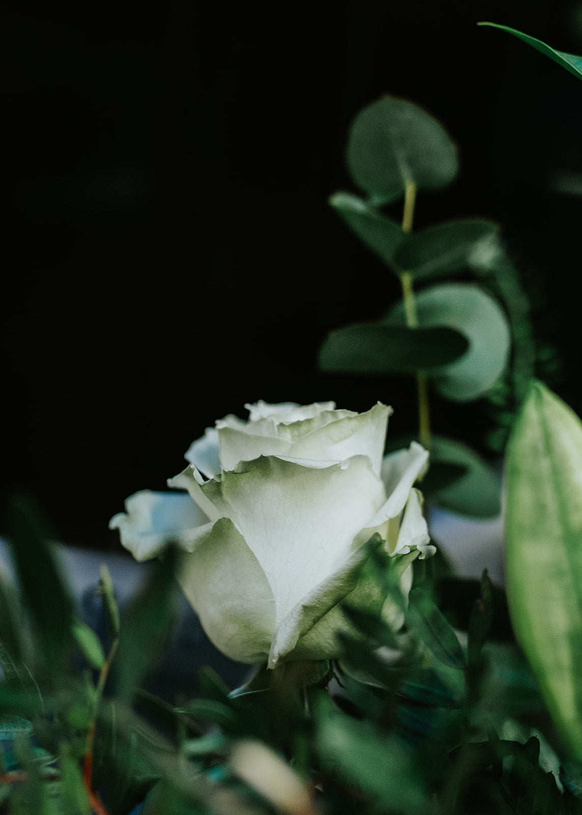 Classic White Hand-tied Bouquet