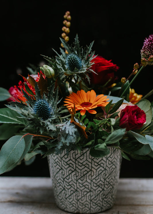 Dutch Pot Flower Gift Set