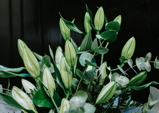 Classic White Lily Hand-tied Bouquet